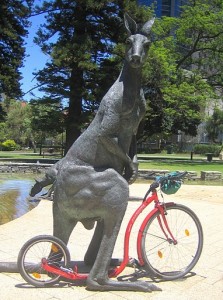 Kangaroo on a Kickbike